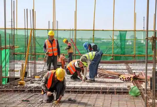 厦门标准员证书从哪里查询真伪？-(厦门标准员证书真伪查询)