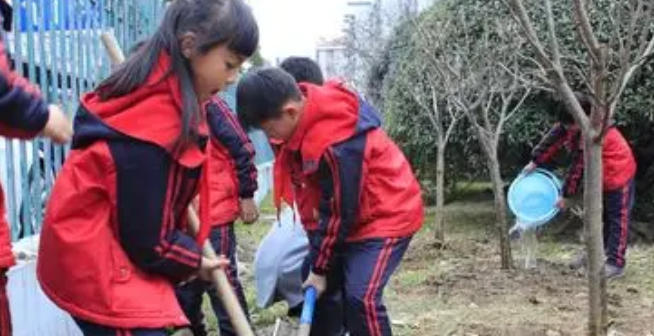 日照助理社会工作师报考条件及专业详细要求-(日照助理社工报考条件)