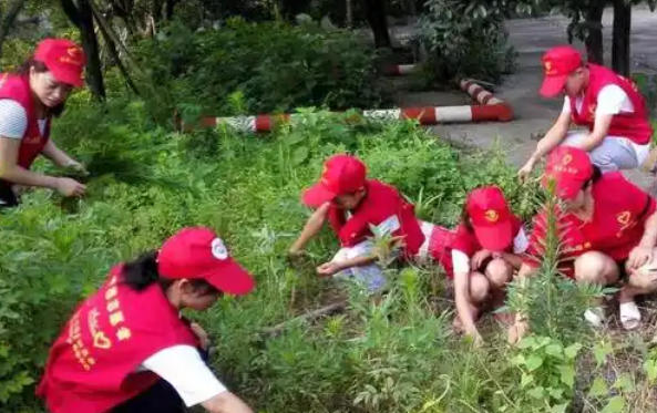 南	开区助理社会工作师考试代报名和培训机构哪里有