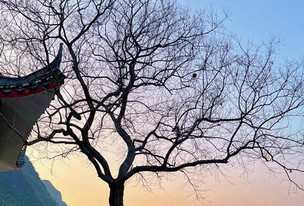 濮阳心理咨询师证报名入口官网2024-(濮阳心理咨询师证报名官网2024)