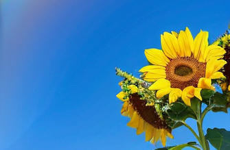 杭	州基金从业资格证通过率高吗，主要失分点在哪